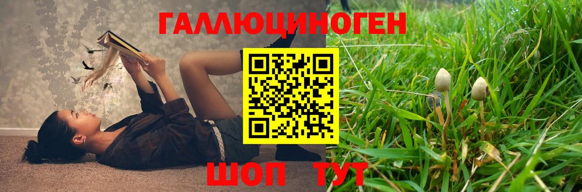 что такое наркотик  Псилоцибиновые грибы Psilocybe  Вход с VPN  Михайловка 